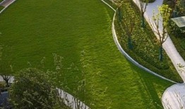 临平公园爆料事件视频,视频揭露惊人真相